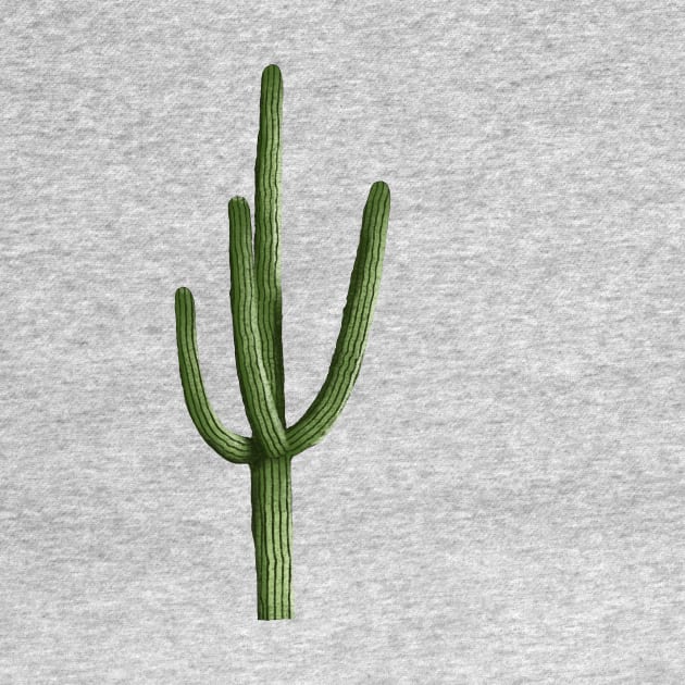 Saguaro Cactus by Obstinate and Literate